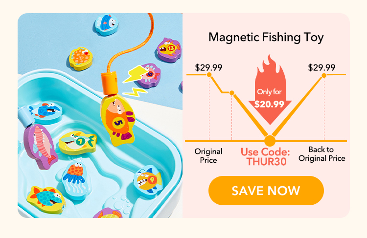 Magnetic Fishing Toy