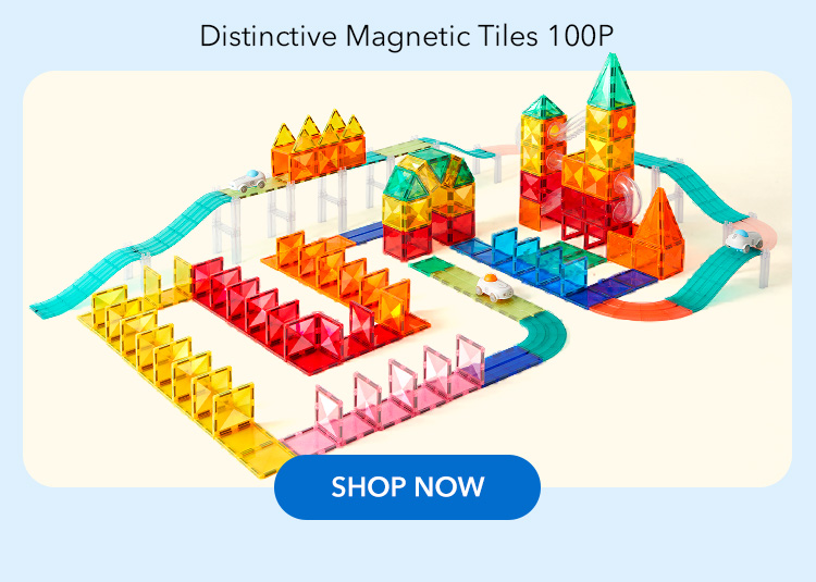 Distinctive Magnetic Tiles 100P