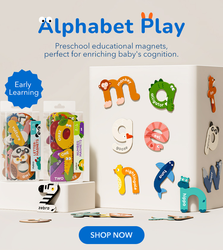 Alphabet Magnets Early Learning